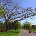 Abseits der grossen Strassen gibt es kaum Verkehr.
