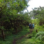 Unterwegs auf der Insel Isabela.