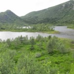 Hier müsste es eigentlich sehr viele Elche haben . . .