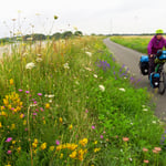 Wir freuen uns jeden Tag an den vielen Blumen entlang der Deiche.