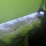 Überraschung am Morgen . . .