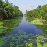 Auf dem Weg nach Cha-Am überqueren wir viele Kanäle.