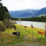 Schlitzohren, die chilenischen Farmer. Gemäss unserer Info ist ein 20 m breiter Ufertreifen an Flüssen und Seen frei zugänglich.