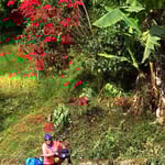 Bald ist Weihnachten! Wir freuen uns an den roten Sternen!