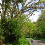 Wir tauchen innerhalb eines Tages hinter Xicotepec in dichten, grünen Urwald ein.