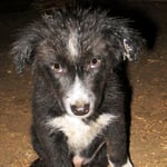 Er hält uns in Atem. Alles, noch das kleinste Ding, ist unglaublich interessant.