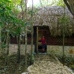 Wir dürfen in Kin Ha in der Urwaldhütte übernachten. Das Konzert der Vögel am Abend und am nächsten Morgen ist grandios!