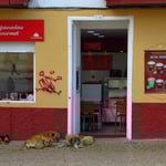 Das täuscht . . . Velofahrer mit Gepäck mögen sie besonders gern.