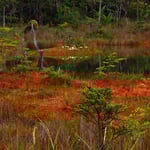 So schön kann Herbst sein!