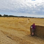 Wie "Gulliver im Land der Riesen" fühlen wir uns mit den grossen Strohballen.