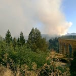Waldbrände bei Collipulli.