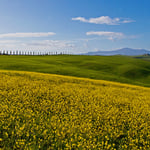 Val d'Orcia