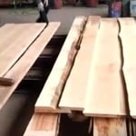 ペルポック製材風景