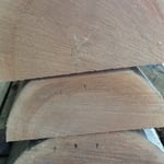 アガチス丸太　玉切の様子