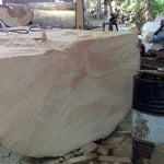 サラワクメラピー