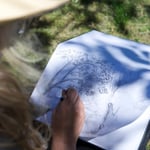 Photographie - Franck Bel