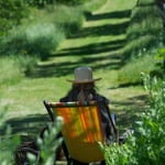 Photographie - Franck Bel