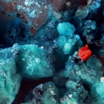 Lithargit-auf-Woodwardit-auf-Bleibaryt_Altemannfels_BB=0,8mm