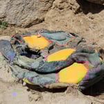 Aus Fussball wird Fresbee...