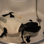 Die Taschen werden in Turkmenabat entstaubt und ir haben's geschafft!