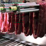 Frisch gefaerbte Seide