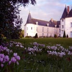 Parc - Château de Condé - Condé en Brie champenoise de Picardie