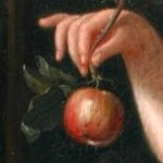 Apple - Château de Condé - Condé en Brie champenoise de Picardie