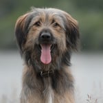 Nanuk, 5,5 Monate alt