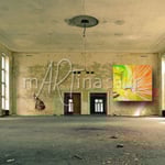 Hummingbird in Halle