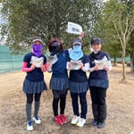 カラフルガーベラ