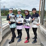 カラフルガーベラ