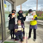 カラフルガーベラ