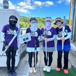 カラフルガーベラ