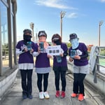 カラフルガーベラ