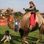 Achmet im Zieleinlauf und Willi als Kameltreiber