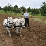 Micha zum Vereinsfest anno 1900 mit Max und Moritz