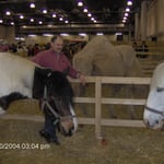 Micha schlichtet den Futterneid zwischen Kamel und Doumbledore