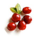 Bio - Cranberry