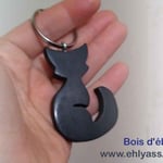 Bois d'ébène du Gabon