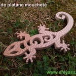 Platane moucheté