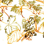 Süd 10.10.2007 Tusche auf Papier je 20x10cm