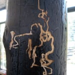 «Talking Stick Black» Druckerschwärze auf Tanne  480cm lang auf Eisen-Sockel Privatbesitz