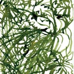 Ost 29.8.2007 Tusche auf Papier je 20x10cm