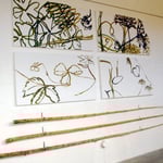 «Talking Sticks» 3 Tannenstämme 450-580 cm lang