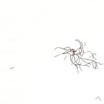 Süd 21.3.2007 Tusche auf Papier je 20x10cm