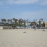 Hi David Hasselhoff !