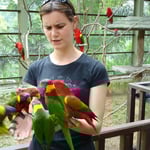 Wer ist hier der Papagei?