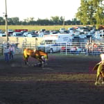 Rodeo - Arbeit & Ausgang für Cowboys