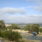 21. Februar 2010, im Barossa Valley