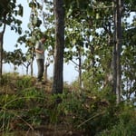 ...einer langen Wanderung...